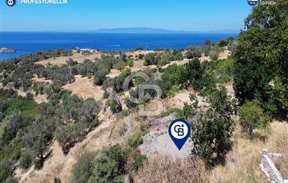 Karaburun Tepeboz'da Tiny House Konumuna Uygun Bahçe