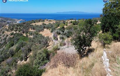 Karaburun Tepeboz'da Tiny House Konumuna Uygun Bahçe