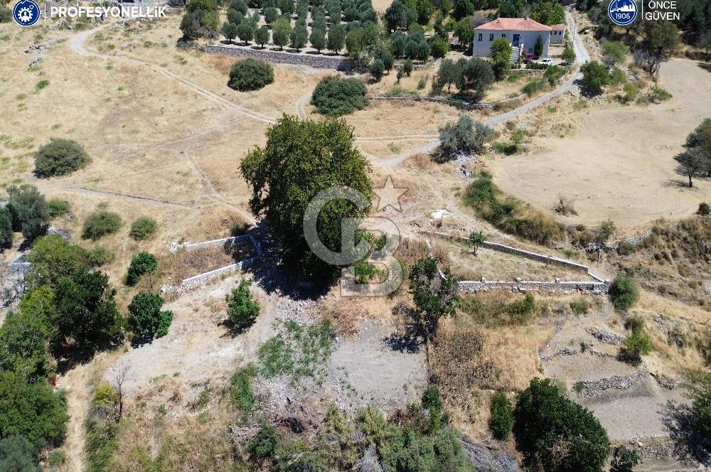 Karaburun Tepeboz'da Tiny House Konumuna Uygun Bahçe