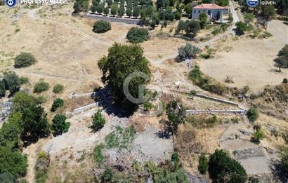 Karaburun Tepeboz'da Tiny House Konumuna Uygun Bahçe