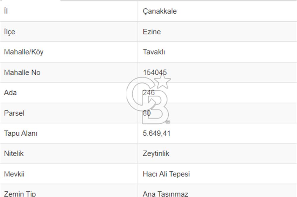  ÇANAKKALE EZİNE TAVAKLI'DA EŞSİZ DENİZ MANZARALI ZEYTİNLİK