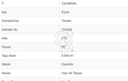  ÇANAKKALE EZİNE TAVAKLI'DA EŞSİZ DENİZ MANZARALI ZEYTİNLİK