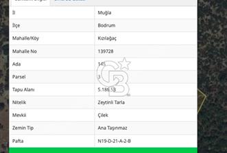 Bodrum Kızılağaç Çilek Mevkii 5 Dönüm Arazi