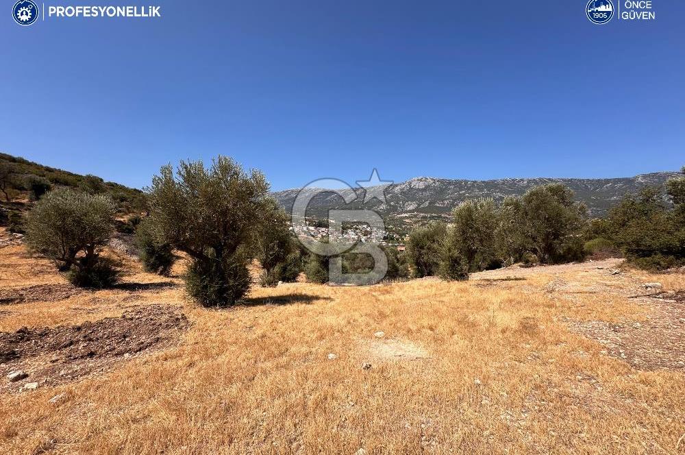 İzmir Karaburun Eğlenhoca'da Deniz Manzaralı Satılık Arazi