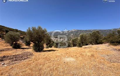 İzmir Karaburun Eğlenhoca'da Deniz Manzaralı Satılık Arazi