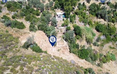 Karaburun Anbarseki'de Deniz Manzaralı Tarla