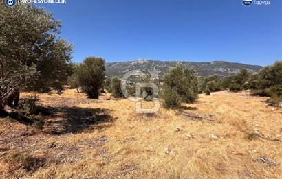 İzmir Karaburun Eğlenhoca'da Deniz Manzaralı Satılık Arazi