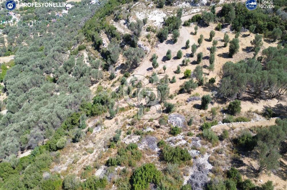 İzmir Karaburun Eğlenhoca'da Deniz Manzaralı Satılık Arazi