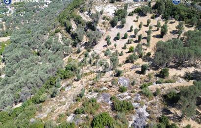 İzmir Karaburun Eğlenhoca'da Deniz Manzaralı Satılık Arazi