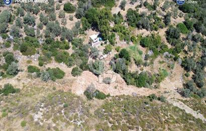 Karaburun Anbarseki'de Deniz Manzaralı Tarla