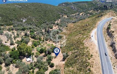 Karaburun Anbarseki'de Deniz Manzaralı Tarla