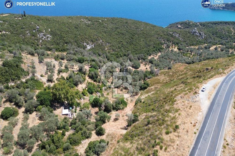 Karaburun Anbarseki'de Deniz Manzaralı Tarla