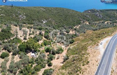 Karaburun Anbarseki'de Deniz Manzaralı Tarla