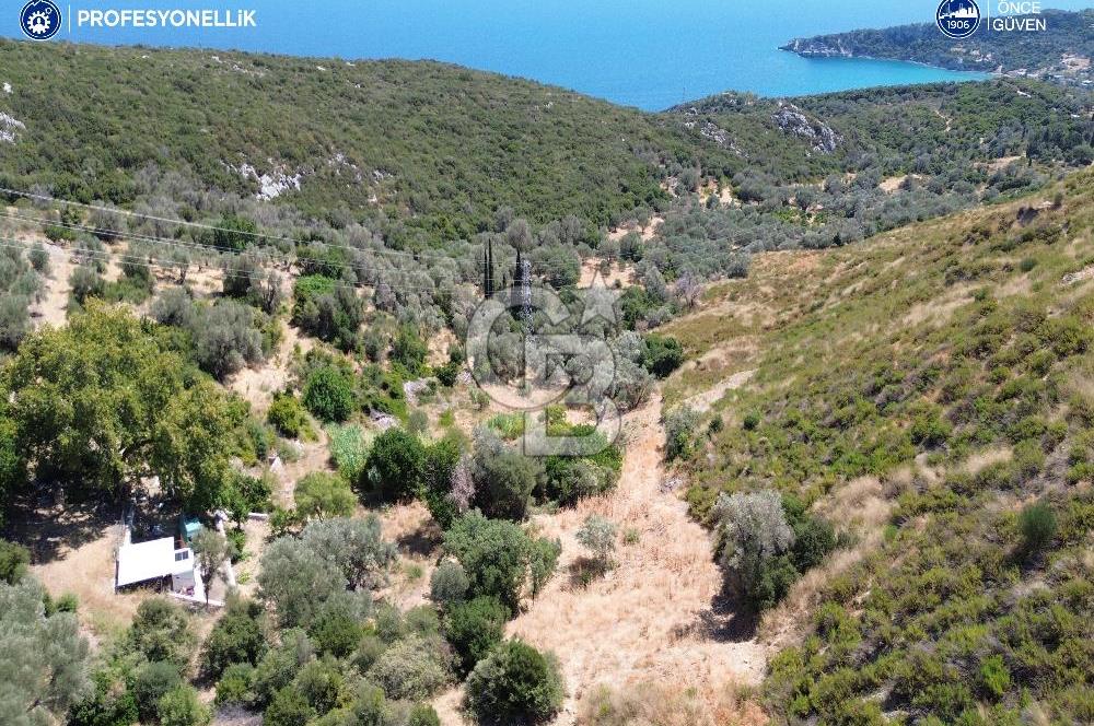 Karaburun Anbarseki'de Deniz Manzaralı Tarla