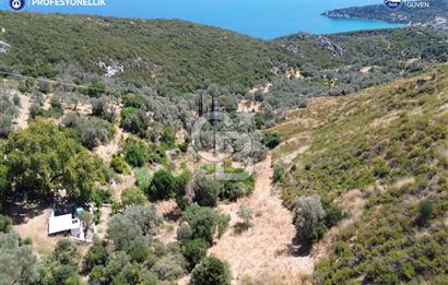 Karaburun Anbarseki'de Deniz Manzaralı Tarla