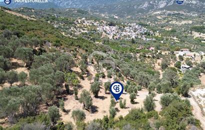 İzmir Karaburun Eğlenhoca'da Deniz Manzaralı Satılık Arazi