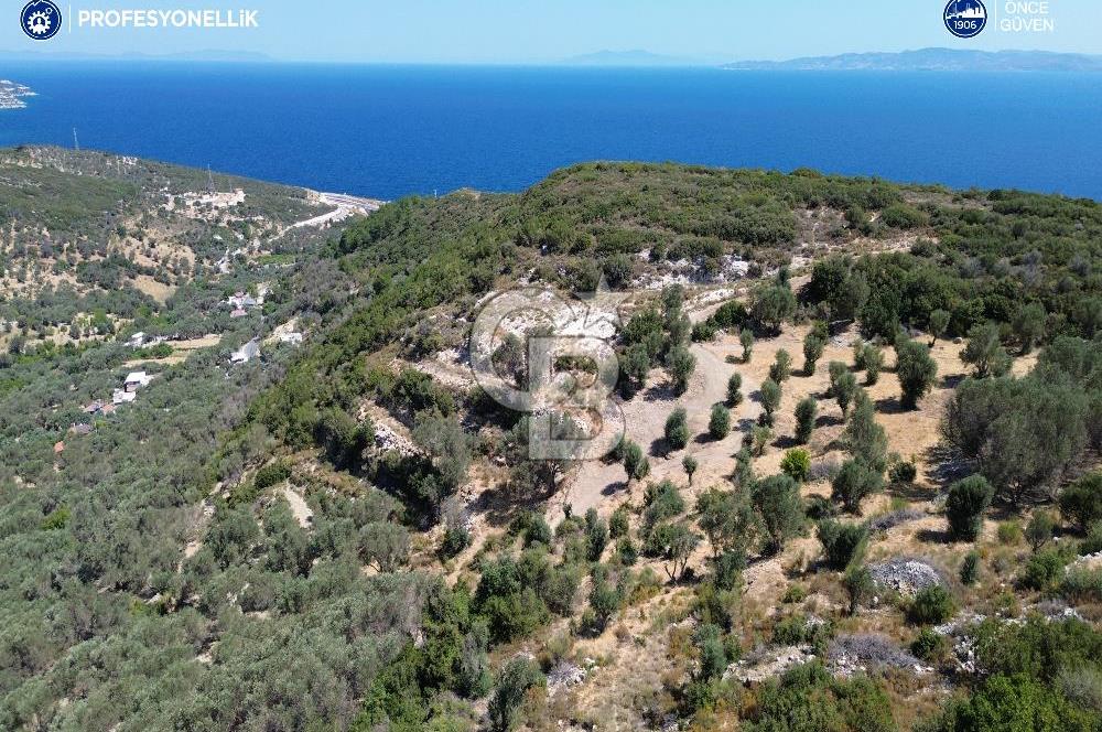 İzmir Karaburun Eğlenhoca'da Deniz Manzaralı Satılık Arazi