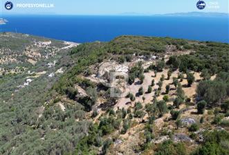 İzmir Karaburun Eğlenhoca'da Deniz Manzaralı Satılık Arazi