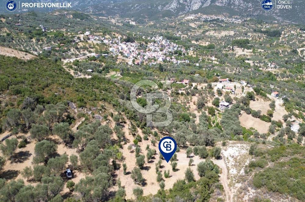 İzmir Karaburun Eğlenhoca'da Deniz Manzaralı Satılık Arazi