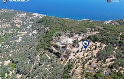 İzmir Karaburun Eğlenhoca'da Deniz Manzaralı Satılık Arazi