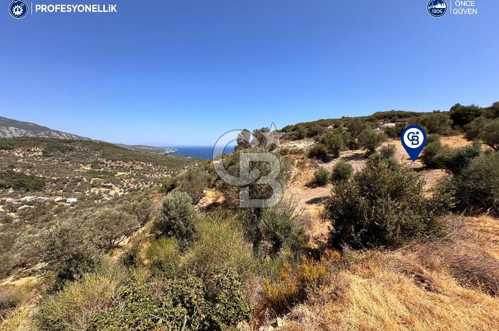 İzmir Karaburun Eğlenhoca'da Deniz Manzaralı Satılık Arazi