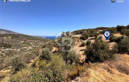 İzmir Karaburun Eğlenhoca'da Deniz Manzaralı Satılık Arazi