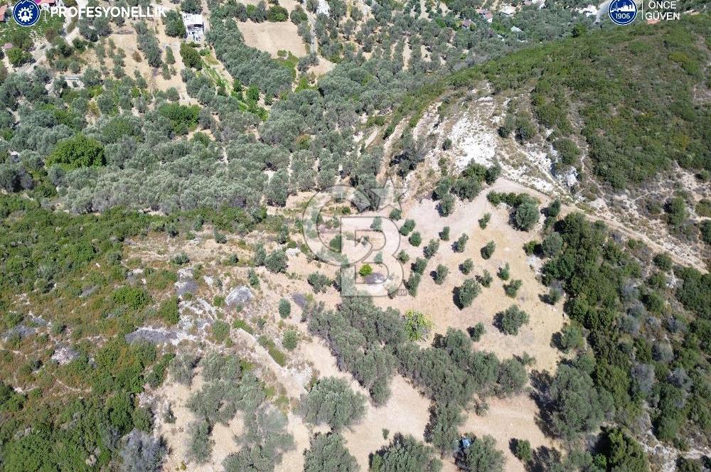 İzmir Karaburun Eğlenhoca'da Deniz Manzaralı Satılık Arazi