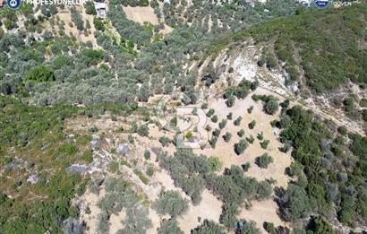 İzmir Karaburun Eğlenhoca'da Deniz Manzaralı Satılık Arazi