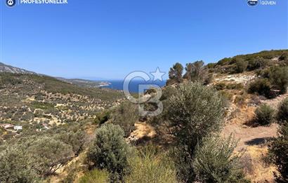 İzmir Karaburun Eğlenhoca'da Deniz Manzaralı Satılık Arazi