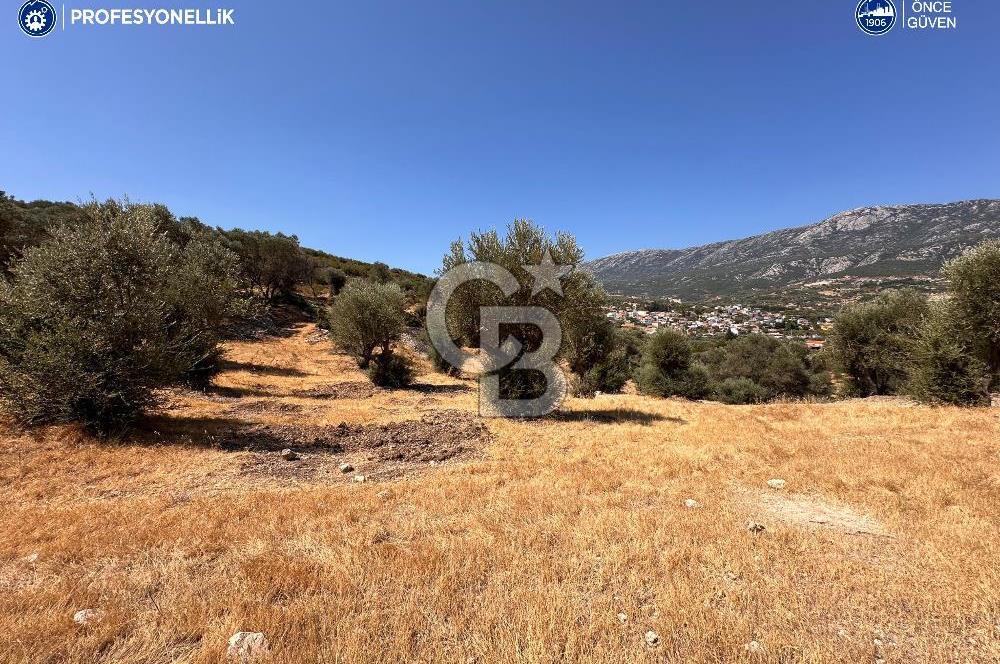 İzmir Karaburun Eğlenhoca'da Deniz Manzaralı Satılık Arazi