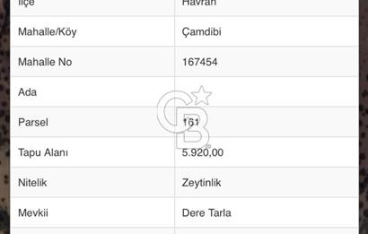 HAVRAN ÇAMDİBİ KÖYÜNDE 6 DÖNÜM ZEYTİNLİK