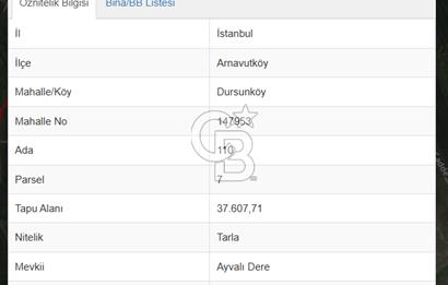 İSTANBUL ARNAVUTKÖY DURSUNKÖYDE YATIRIMLIK HİSSE