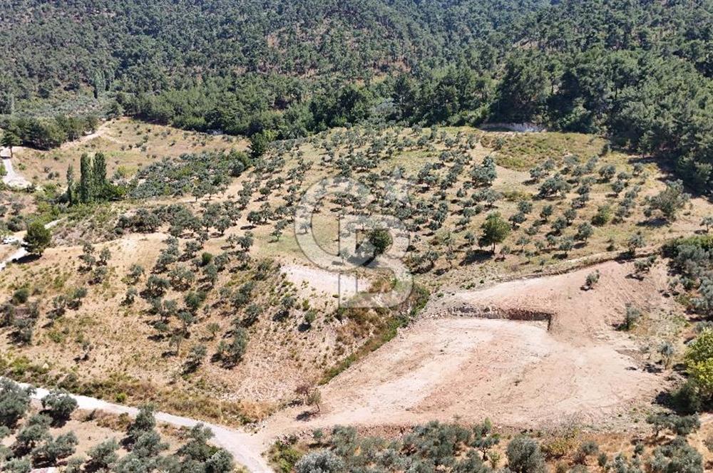 10,087 m2 with a magnificent view in Kemalpaşa Yukarı Kızılca ..