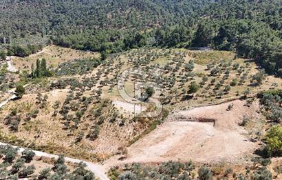 Kemalpaşa Yukarı Kızılca'da enfes manzaralı 10.087 m2 ..