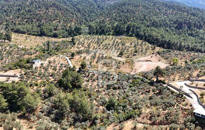 10,087 m2 with a magnificent view in Kemalpaşa Yukarı Kızılca ..