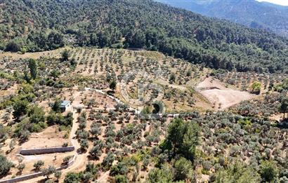 10,087 m2 with a magnificent view in Kemalpaşa Yukarı Kızılca ..