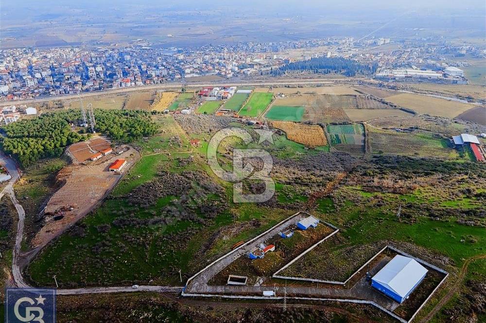 EZİNE CUMHURİYET MAHALLESİNDE 2000 M² ARSAMIZ SATILIKTIR