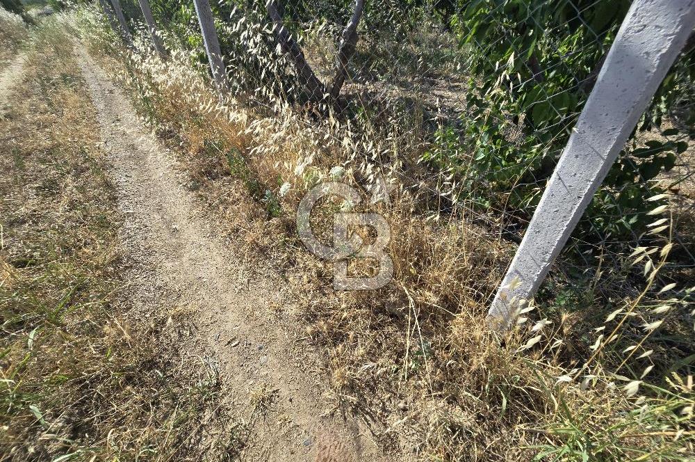 İZMİR KEMALPAŞA ÖRENDE TURGUTLU YOLU ÜZERİ SATILIK ARAZİ