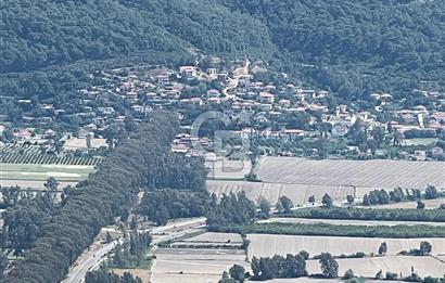 Muğla Akyaka Akçapınar da İmarlı Arsa