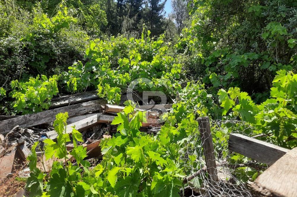 Muğla Akyaka Akçapınar da İmarlı Arsa