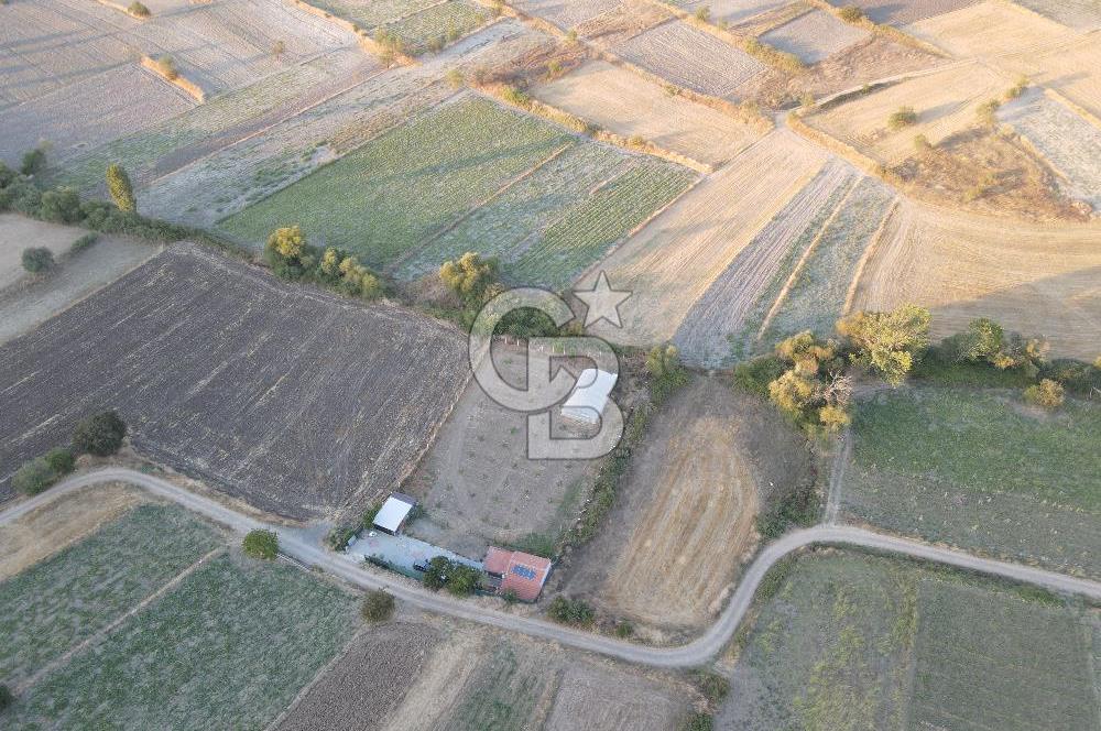 BALIKESİR ALTIEYLÜL NERGİZ MAH. SATILIK EMSALSİZ HOBİ BAHÇESİ