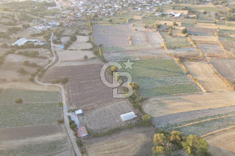 BALIKESİR ALTIEYLÜL NERGİZ MAH. SATILIK EMSALSİZ HOBİ BAHÇESİ