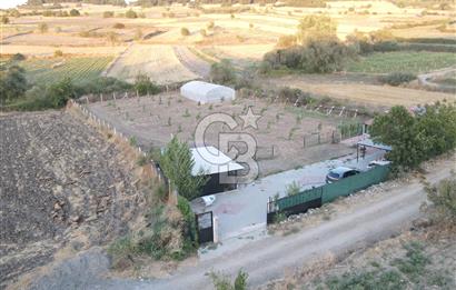 BALIKESİR ALTIEYLÜL NERGİZ MAH. SATILIK EMSALSİZ HOBİ BAHÇESİ