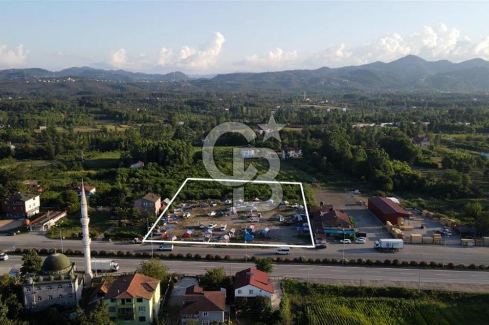 Anayola Cephe 7500 m2 Ticari İmarlı Arsa