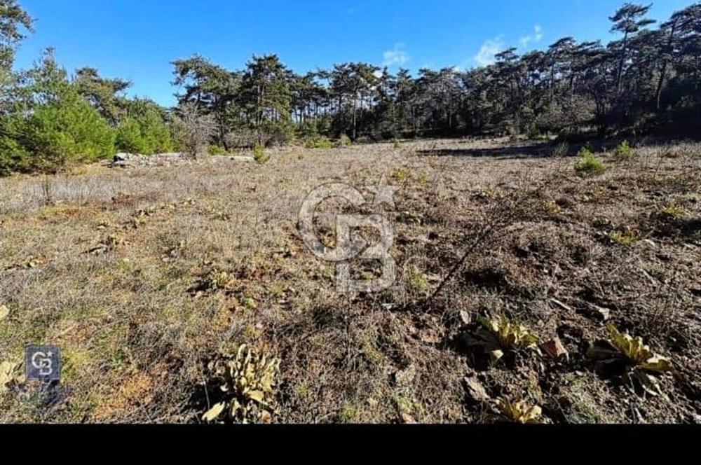 Muğla Menteşe Kıran’da Satılık Tarla