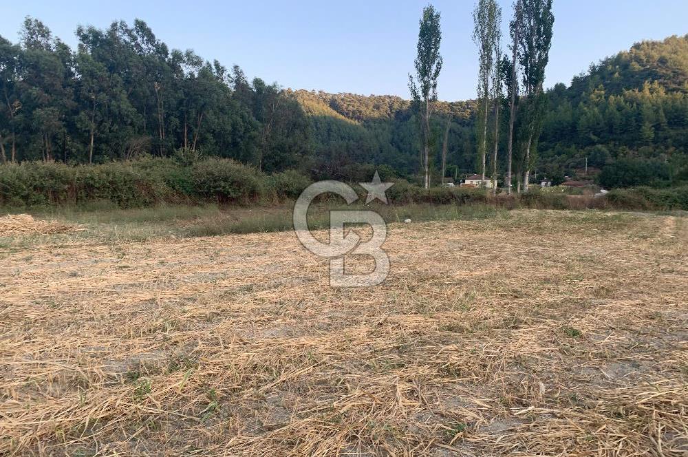 Muğla Ula Portakallık Mahallesinde Satılık 501m² Tarla 