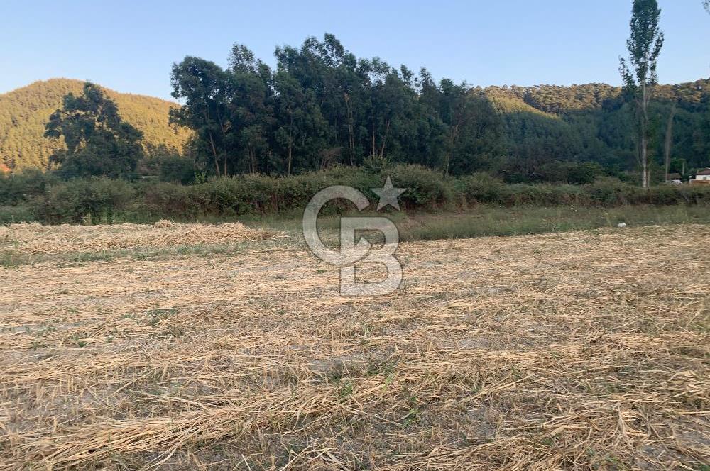 Muğla Ula Portakallık Mahallesinde Satılık 501m² Tarla 