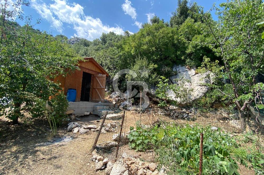 Mersin Erdemli Sorgun Yaylası Satılık Türk Hamamlı Yayla Evi