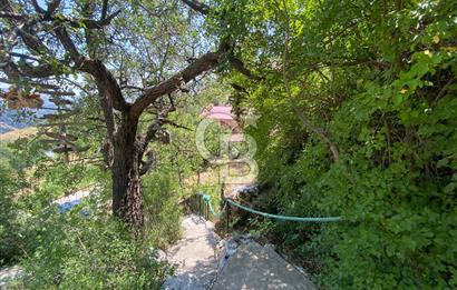 Mersin Erdemli Sorgun Yaylası Satılık Türk Hamamlı Yayla Evi