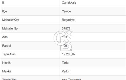 ÇANAKKALE YENİCE'DE YATIRIM FIRSATI: REŞADİYE KÖYÜ'NDE SATILIK TARLA!